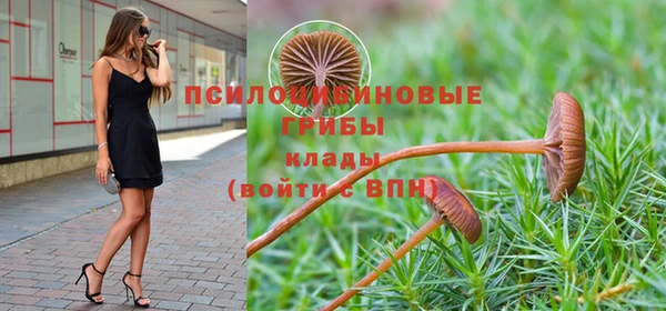 MESCALINE Аркадак