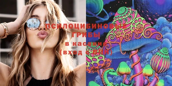 крисы Тобольск