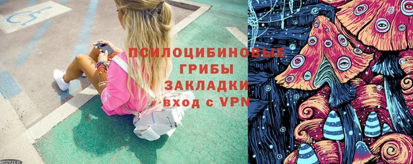 дживик Надым