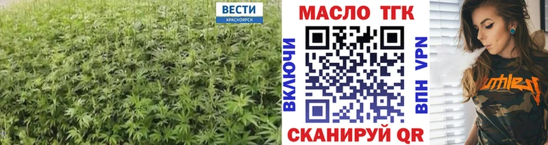 ТГК концентрат  Шумиха 